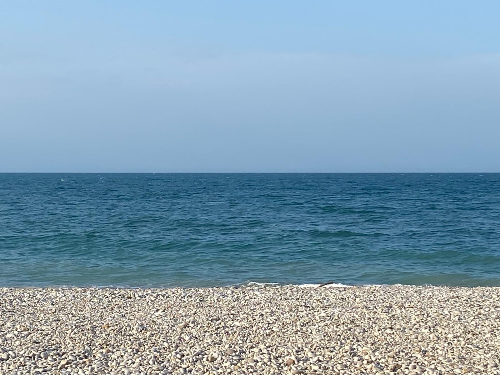 Mare